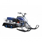 Запчасти для снегохода Irbis Dingo T110